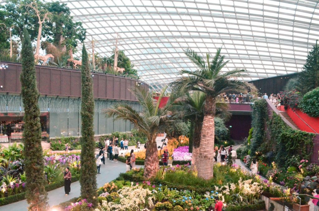 flower dome